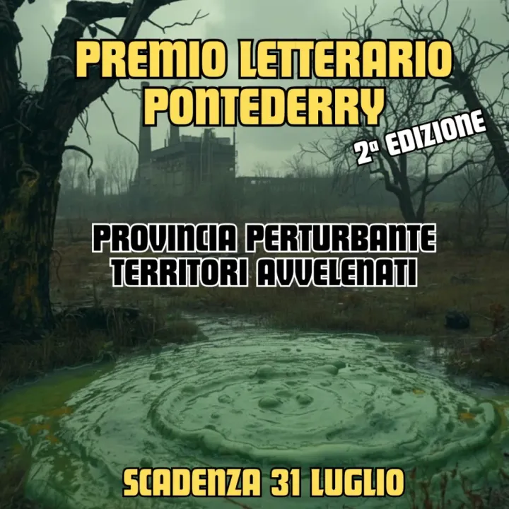 Bando del Premio PonteDerry 2026